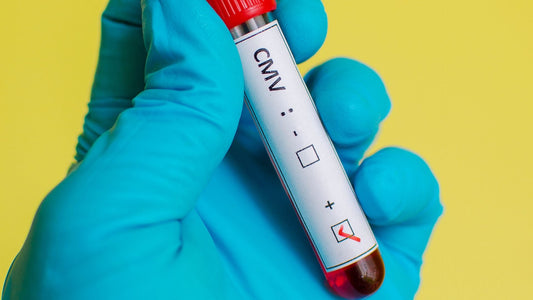 citomegalovirus in gravidanza