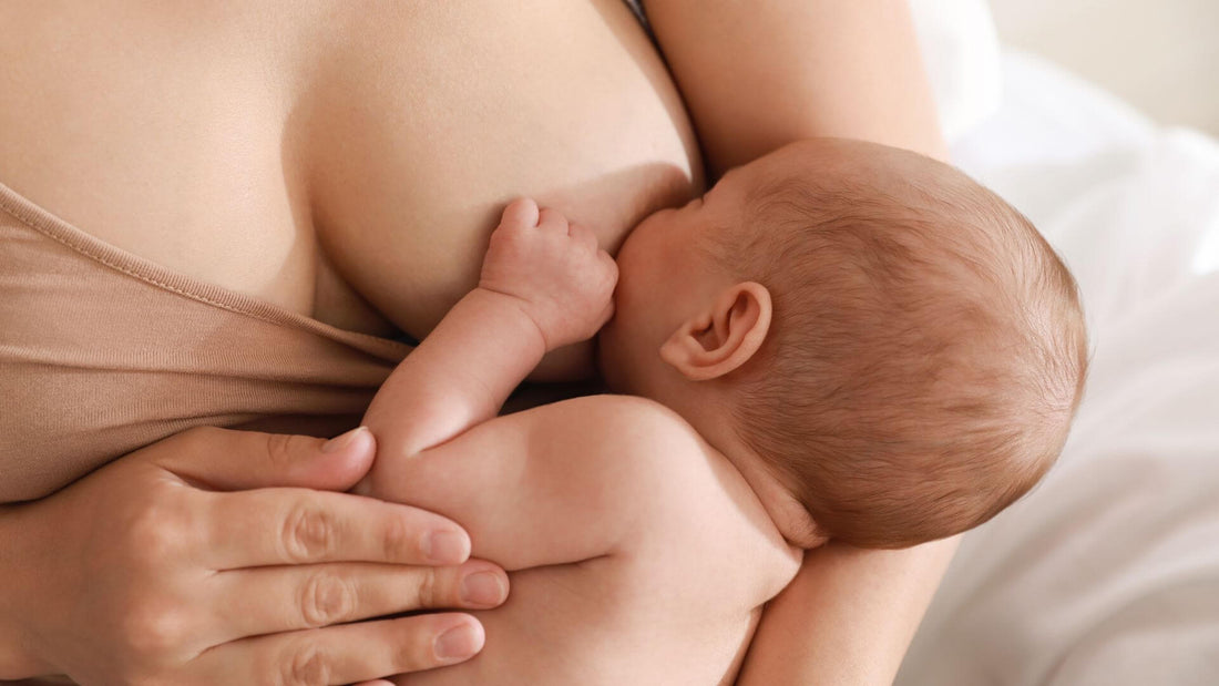 paracapezzoli d'argento