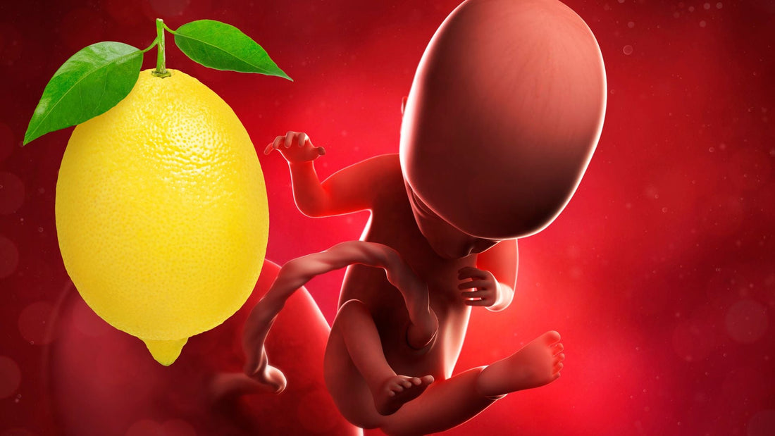 quattordicesima settimana di gravidanza