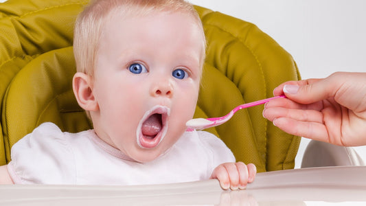 storia delle pappe e degli omogeneizzati