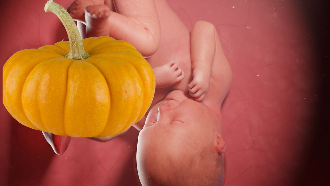 trentasettesima settimana di gravidanza