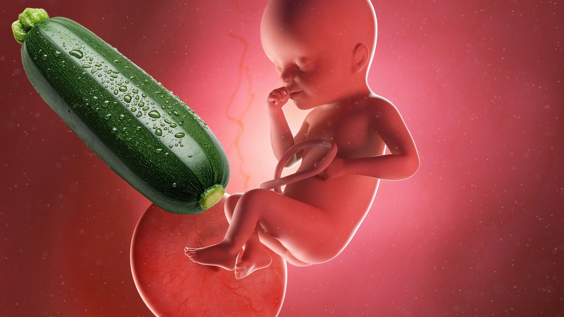 venticinquesima settimana di gravidanza