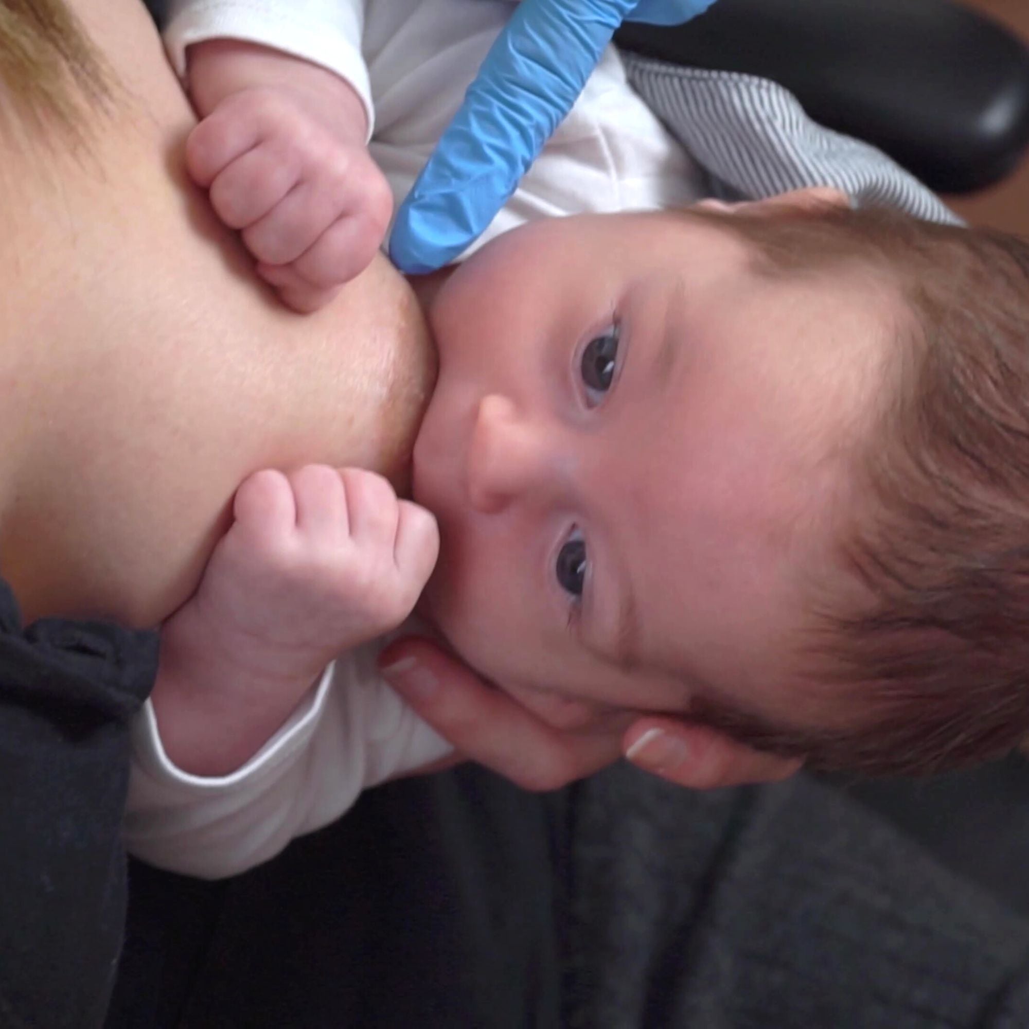 videocorso allattamento online: come allattare al seno, come attaccare il neonato correttamente al seno e le migliori posizioni per allattare