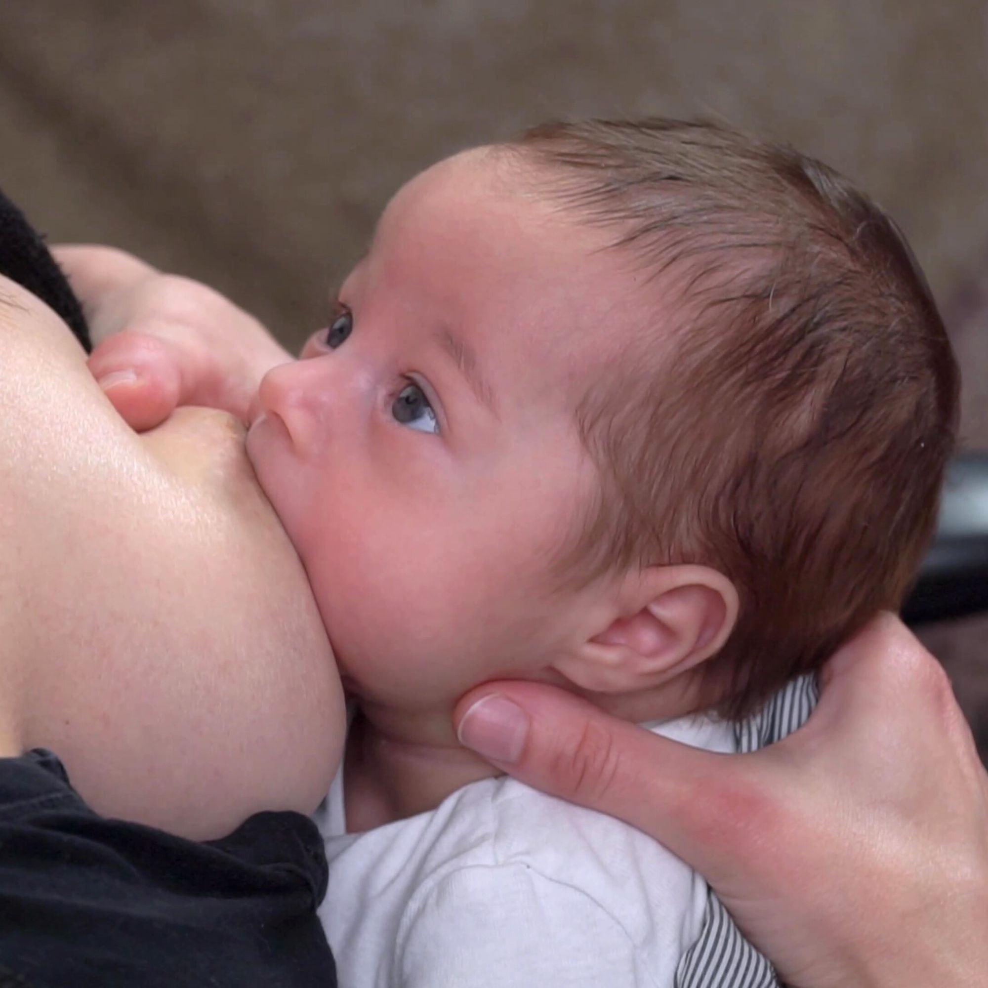videocorso allattamento online: come allattare al seno, come attaccare il neonato correttamente al seno e le migliori posizioni per allattare