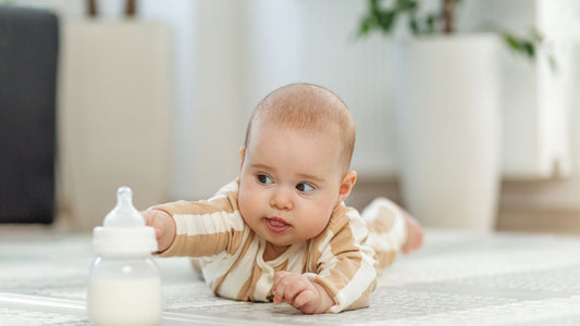 latte in polvere o latte liquido