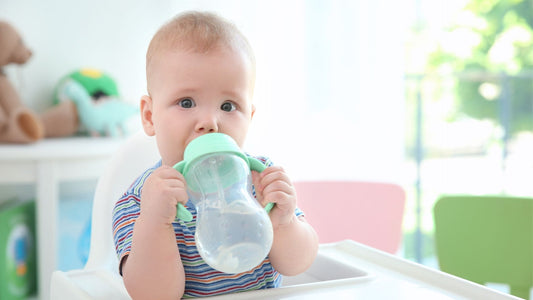 perché non dare l'acqua prima dei sei mesi