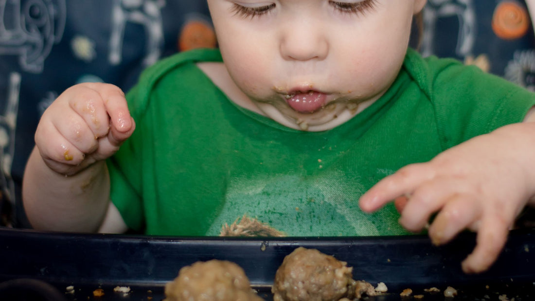 polpette per lo svezzamento 