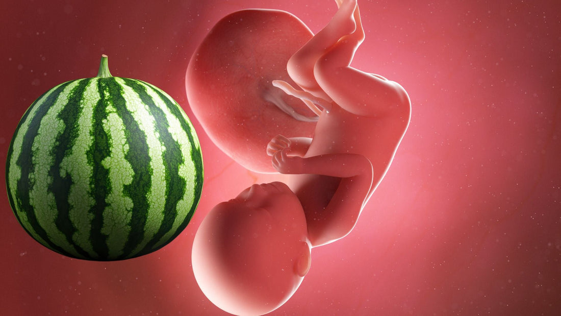 trentanovesima settimana di gravidanza